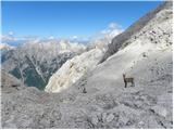 Planina Blato - Teme (Hribarice)